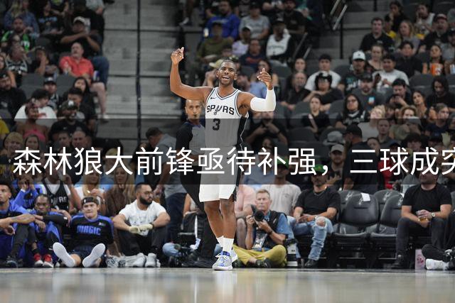 森林狼大前锋亟待补强，三球成突破50胜关键