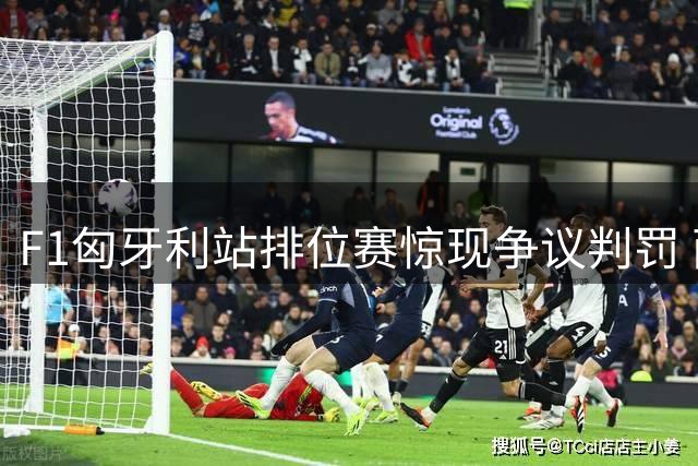 F1匈牙利站排位赛惊现争议判罚 两大车手遭发车位降格